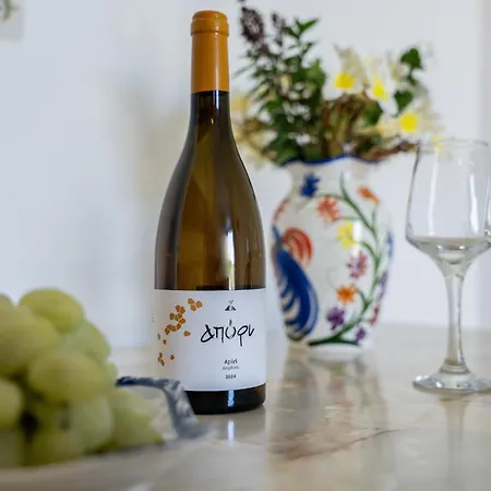 Frantzis 6 Nisyros Island Lägenhet *